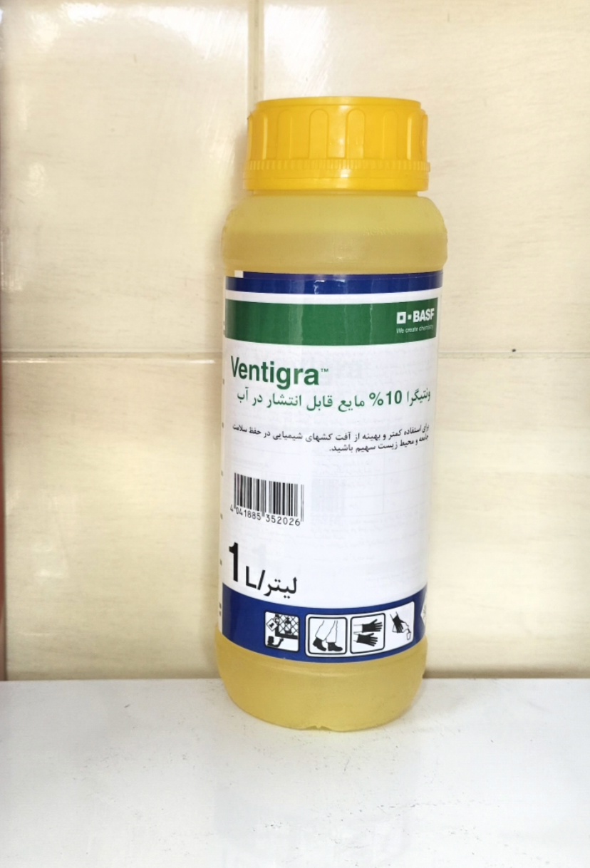 ونتیگرا باسف