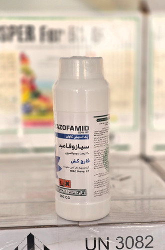رانمن رها اندیش