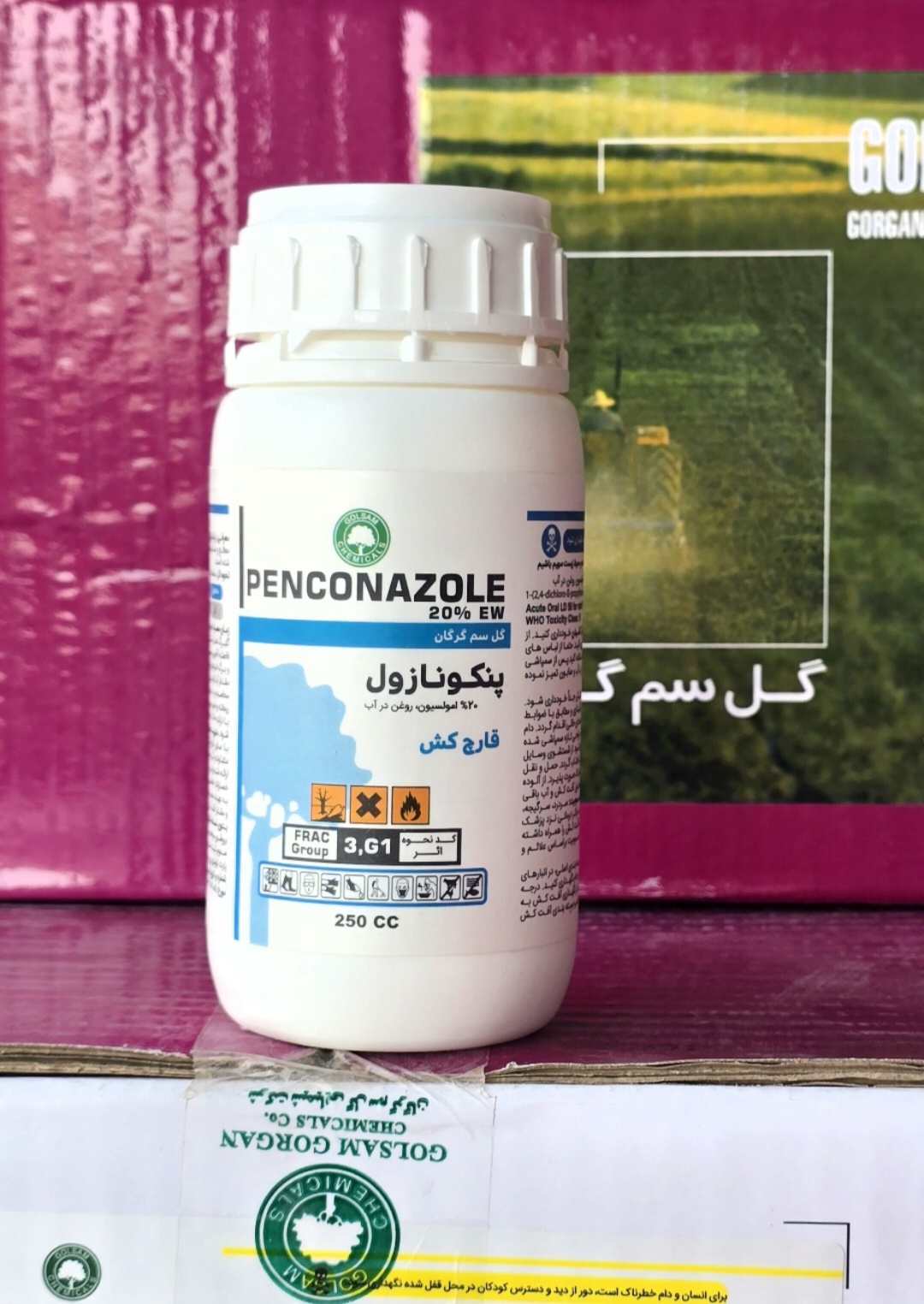 توپاس گلسم