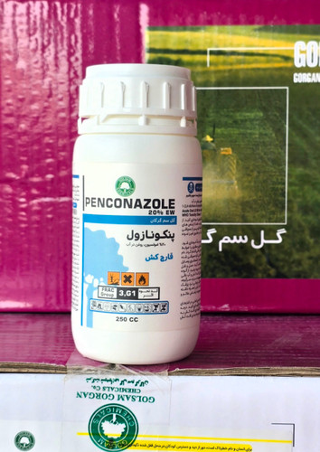 توپاس گلسم
